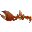 帝王蟹
